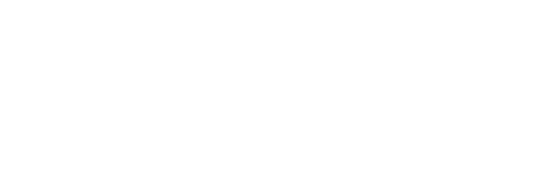 Tygrysy Biznesu